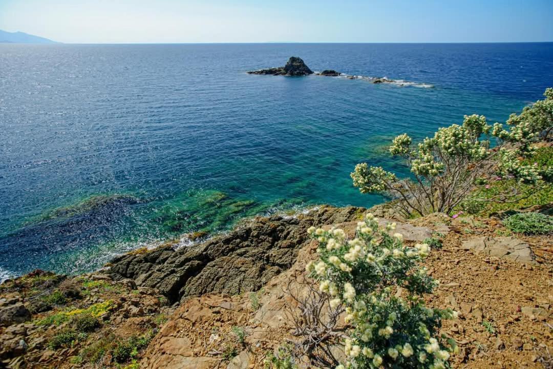 Apartamento Sunny Courtyard Piombino Exterior foto