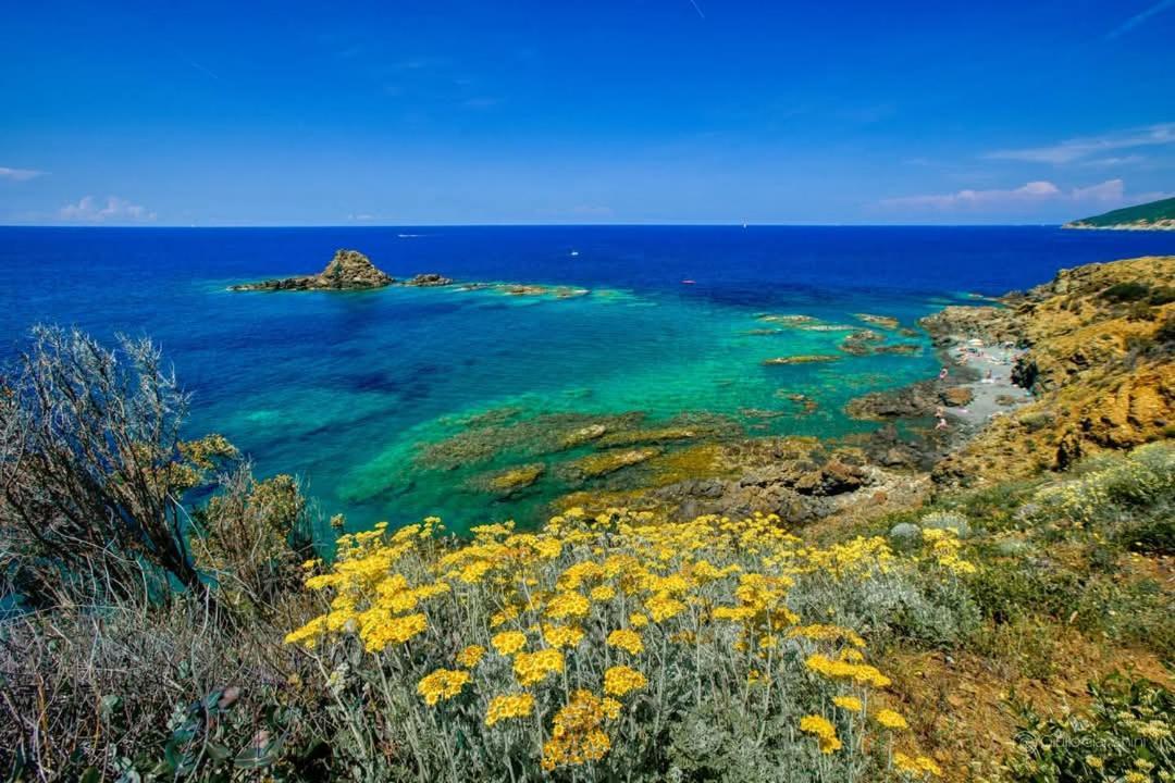 Apartamento Sunny Courtyard Piombino Exterior foto